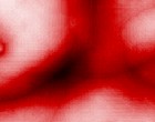 freie